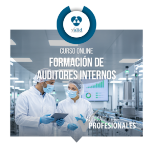 Formación de Auditores Internos