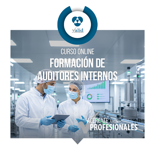 Formación de Auditores Internos